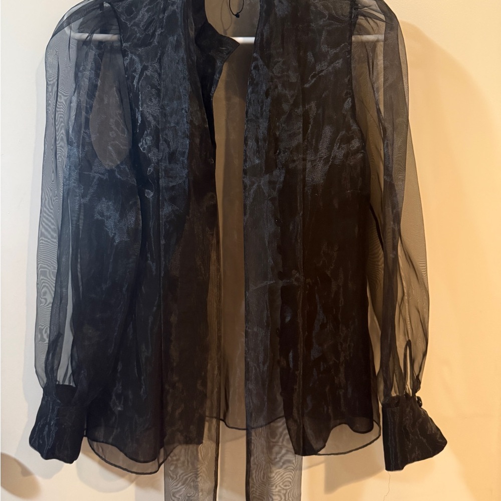 Zara Black Sheer Blouse